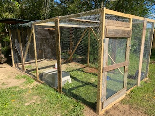 Abigail's Chicken Run